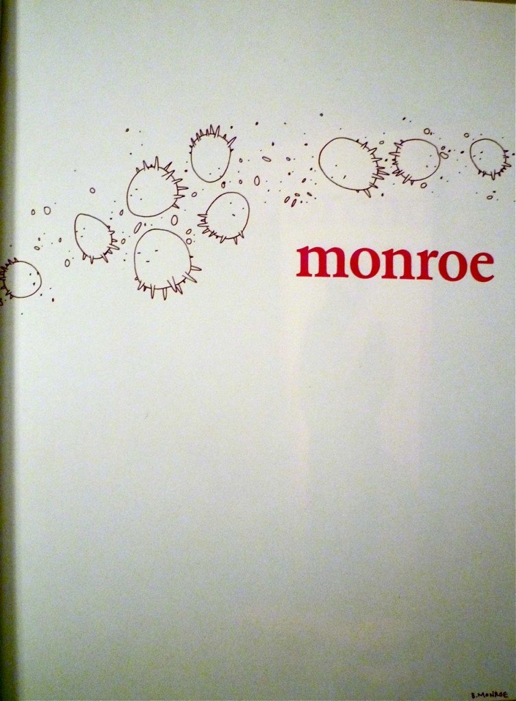 brendan-monroe-book-2